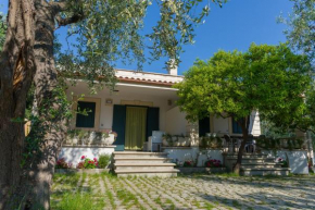  Villa Melena  Маттината